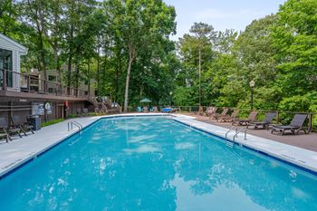 Swimming pool & sundeck
